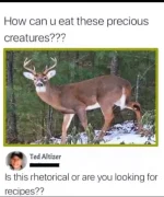 1755449913325.jpeg.webp