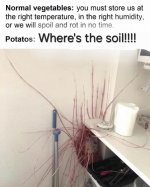 1756040972552.png.jpg