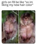 IMG_8679.jpeg