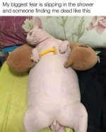 IMG_8855.jpeg