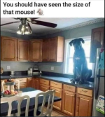 1759317279741.png