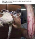 1760703440881.jpeg