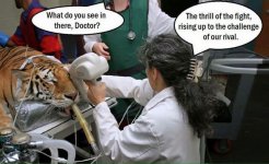 VFwpSY7CVivyZehodFIdyXcVC4KoJx0LgNP7AoZnonc (1).jpg