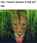 1760806860843.jpeg