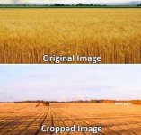 1000000202.jpg