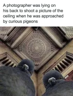 1781988865996.jpeg.webp