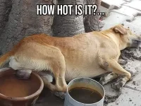 1782896296677.png.webp