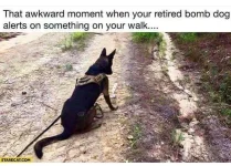 1783788740071.png.webp