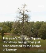 1000000227.jpg
