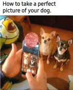 1785959475407.png.webp