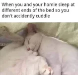 X2c8n0Q.jpeg.webp