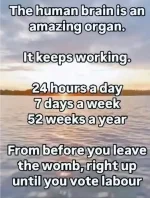 bd29d0e8-852f-4f32-85de-d136300ac66a.jpeg.webp