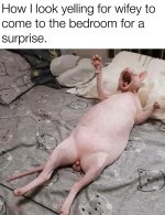 1792353756632.jpg