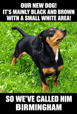 file_000000006ca881f4bb70f5d0e3cc5cd3.png