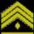 CadetFirstSergeant